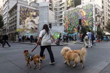 Chile registra una de las tasas de fecundidad más bajas del mundo: «No hay condiciones»