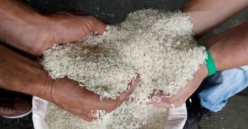 Gobierno amplía arancel cero para la importación de arroz hasta el 31 de octubre