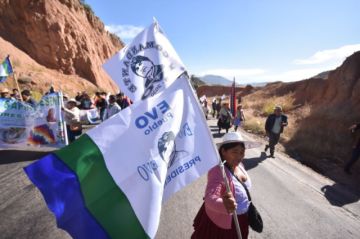 Evo Morales puede inscribirse para la elecciones, pero el TSE analizará si está o no habilitado, según Hassenteufel
