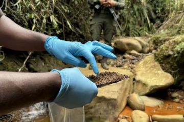 Oro manchado de sangre: La minería ilegal desangra a Perú y sacude a Suramérica