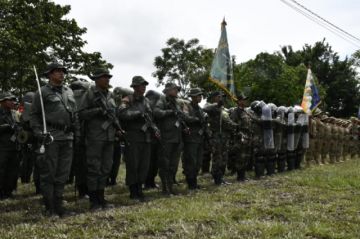 En el norte de La Paz impiden operativos de erradicación de coca ilegal