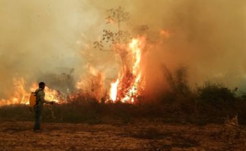 Defensoría del Pueblo: es urgente prevenir incendios forestales y quemas descontroladas