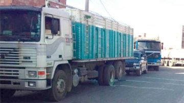El transporte internacional demanda incrementar precio de fletes de minerales