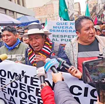 Fallos sobre PAN-Bol y el MTS contravienen la Ley electoral