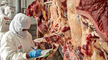 Veto a exportación de carne causa millonaria pérdida, reclama la CAO 
