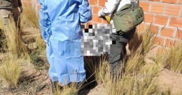 Sentencian a la pena máxima a feminicida de su expareja a quien debía miles en asistencia familiar 