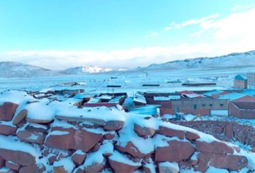 Nevada afecta a seis municipios y causa la muerte del ganado 