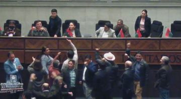 Sesión para tratar contrato de litio entra en cuarto intermedio por protesta de diputados