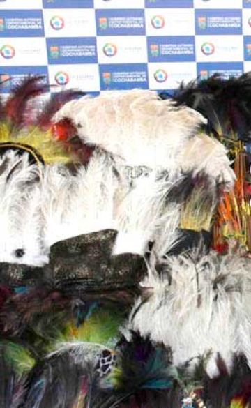 Pofoma incautarán plumas y kirchinchos en Ch'utillos