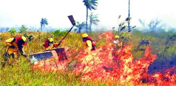 Monitoreo detecta 2.536  focos de calor en Bolivia 