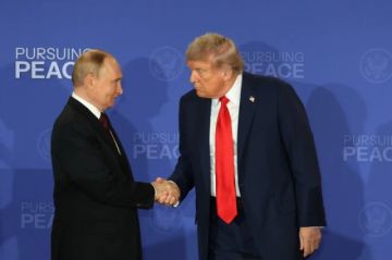 Zelenski respalda la cumbre trilateral con Putin y anuncia una reunión con Trump el próximo lunes