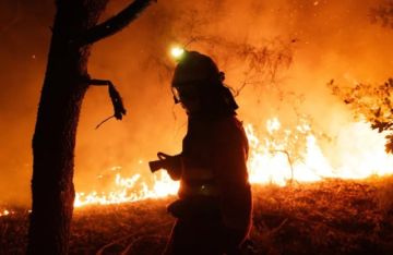 Los incendios en España queman más de 380.000 hectáreas, equivalente a la isla de Mallorca