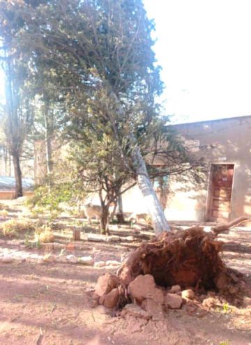 Vientos fuertes provocan estragos en los municipios
