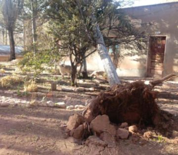Reportan daños en municipios a causa de fuertes vientos en Potosí