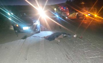 Reportan tres personas fallecidas en distintos accidentes de tránsito en Potosí
