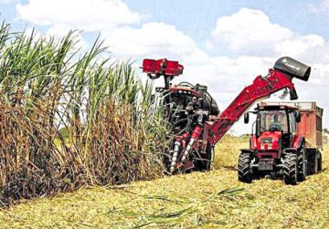 Productores y transporte abren conflicto por diésel