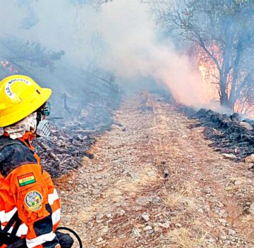 Hay 83.223 hectáreas afectadas por quemas en parques y reservas