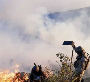 Gobierno reporta dos incendios  forestales activos