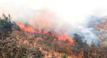 Mujer de 46 años muere en un incendio forestal cerca de Toro Toro