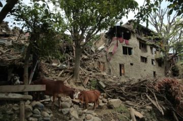 Los talibanes confirman más de 1.400 muertos y 3.100 heridos tras el terremoto en Afganistán