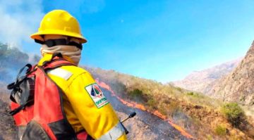 Incendio mata a una mujer, destruye viviendas y deja tierra dañada en Toro Toro