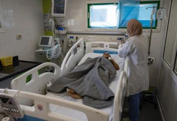 Las muertes por hambre en Gaza se disparan: en agosto fallecieron 185 personas por esta causa