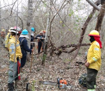Santa Cruz:Gobierno confirma la mitigación total del incendio en el área protegida Ñembi Guasu de Charagua Iyambae