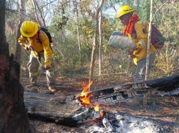  Defensa Civil alerta sobre “ataques criminales” a reservas forestales en el país