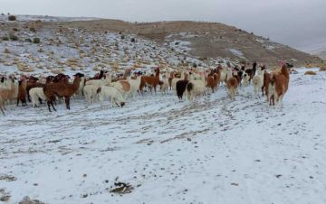 Frío, nevada, lluvia y granizo afecta al Departamento de Potosí
