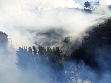 Sofocan incendio forestal en Colomi y salvan 30 hectáreas de bosques nativos
