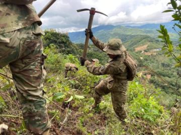 Gobierno anuncia ingreso de brigadas de erradicación al trópico de Cochabamba pese a resistencia de afines a Evo Morales