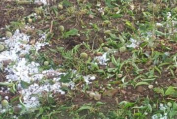 Gobernación reporta daños por tormenta de granizo en Potosí