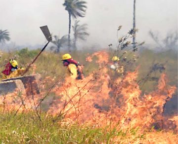 Más de 1.400 focos de calor y seis incendios en 6 departamentos