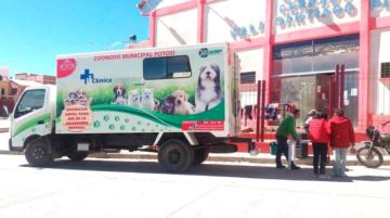 Zoonosis intensifica trabajos de esterilización de canes