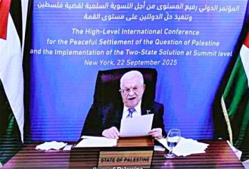 Disputa palestino-israelí divide voces en la ONU