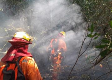 Bolivia registra 104 procesos por quemas e incendios forestales y logra cuatro sentencias