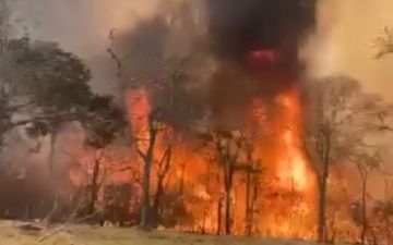 Gobierno reporta reducción de focos de calor en septiembre
