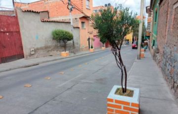 Potosí tiene más de 4 mil metros cuadrados de áreas forestadas