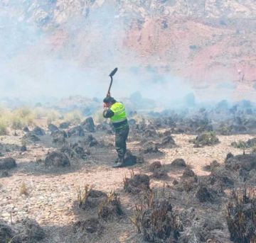Un incendio forestal alarmó a los pobladores en Tarapaya