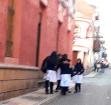 Año escolar acaba el 5 de diciembre en Potosí