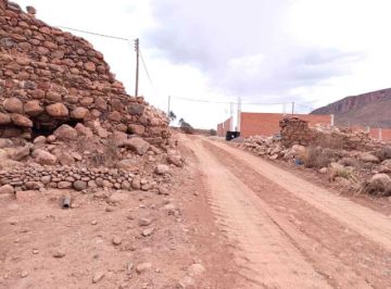 El Potosí verifica otro atentado contra el patrimonio potosino