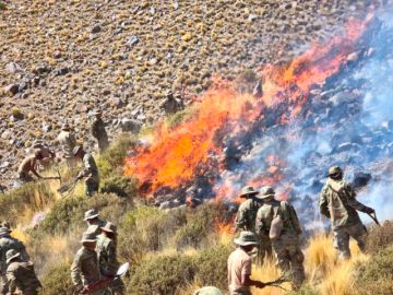 Incendio en faldas del Tunupa daña 5 mil hectáreas de pasto