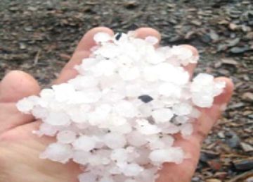 Granizada afecta la producción agrícola de 137 familias en Chaqui