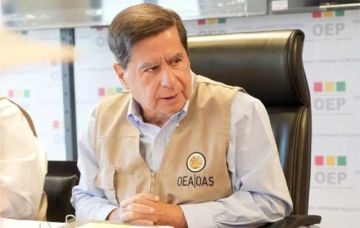 Misión de la OEA rechaza denuncias de fraude electoral