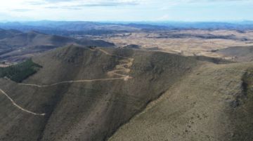 TARABUCO. Así se ve el crecimiento de los arboles después de tres años de haber sido plantados. Foto: Gentileza
