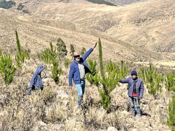 Tarabuco: Inversores Forestales, una opción rentable para invertir