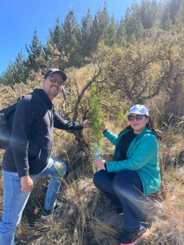 TARABUCO. Así se ve el crecimiento de los arboles después de tres años de haber sido plantados. Foto: Gentileza