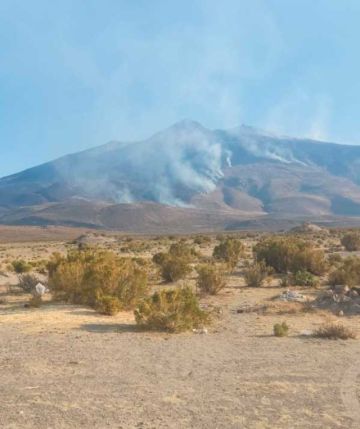 Incendio destruye 120 hectáreas de fauna y flora silvestre en Llica