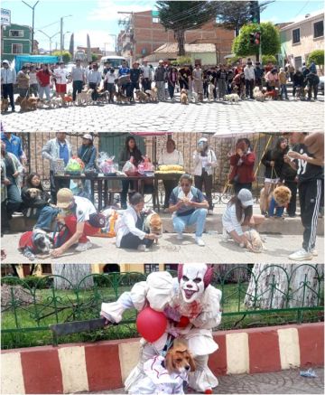 Campaña para refugios tuvo más de 100 participantes