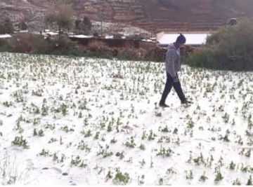 Reportan cuatro municipios  afectados por granizadas 